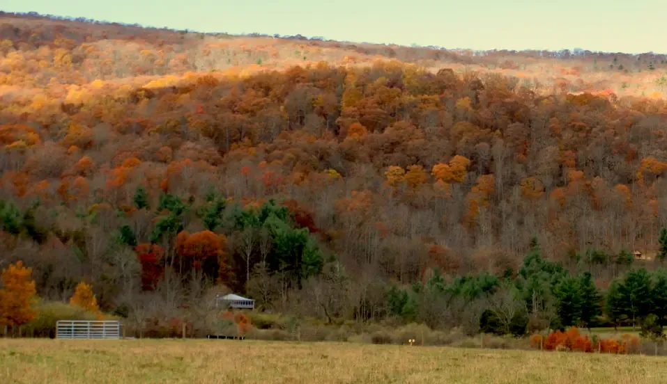 Rural landscape in Deerfield, Virginia